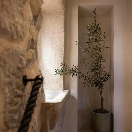 Vendégház Old Town Olive Luxury For 3 4*